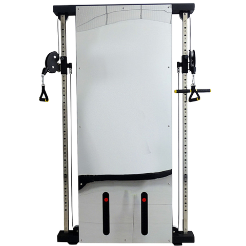 Wall Mounted Functional Trainer
